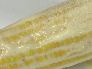 Mexicon Sweet Corn